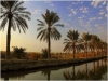 iraq20